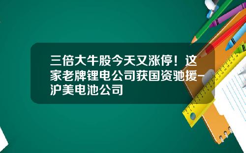 三倍大牛股今天又涨停！这家老牌锂电公司获国资驰援-沪美电池公司