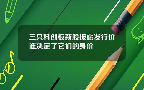 三只科创板新股披露发行价谁决定了它们的身价