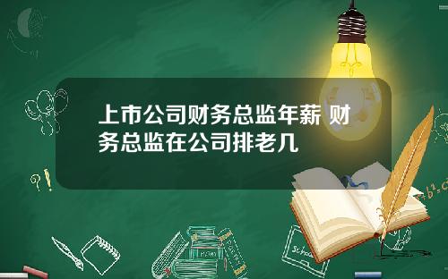 上市公司财务总监年薪 财务总监在公司排老几