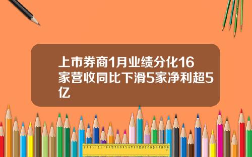 上市券商1月业绩分化16家营收同比下滑5家净利超5亿