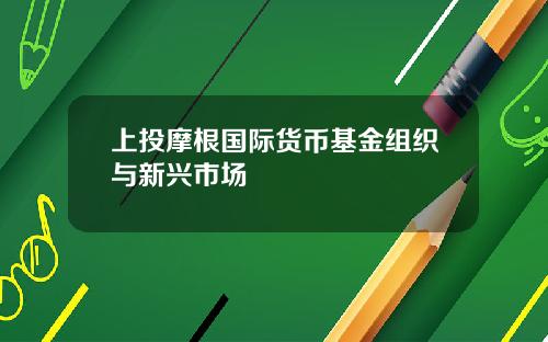 上投摩根国际货币基金组织与新兴市场