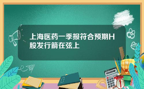 上海医药一季报符合预期H股发行箭在弦上