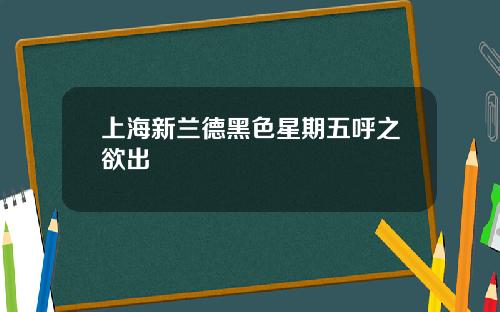 上海新兰德黑色星期五呼之欲出