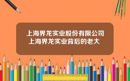 上海界龙实业股份有限公司 上海界龙实业背后的老大