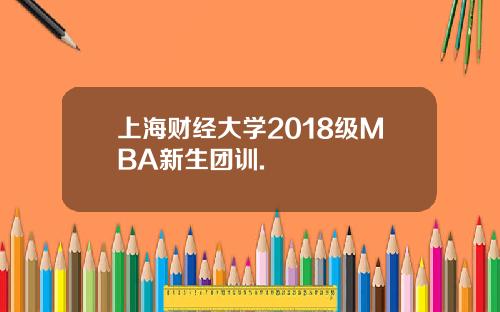 上海财经大学2018级MBA新生团训.