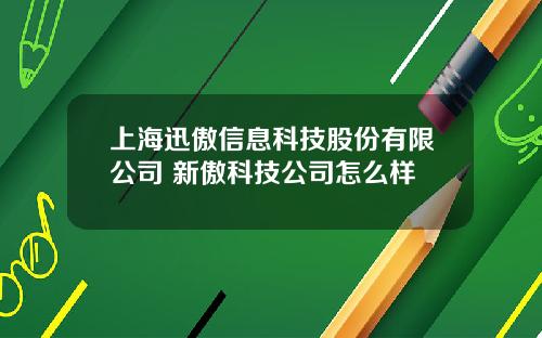 上海迅傲信息科技股份有限公司 新傲科技公司怎么样