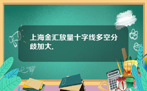 上海金汇放量十字线多空分歧加大.