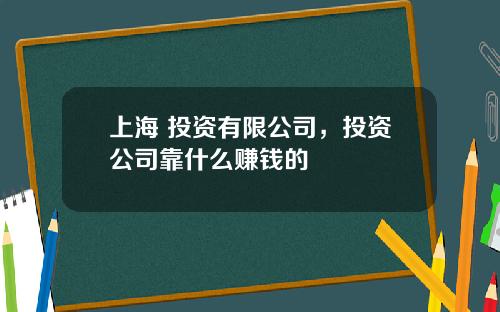 上海 投资有限公司，投资公司靠什么赚钱的