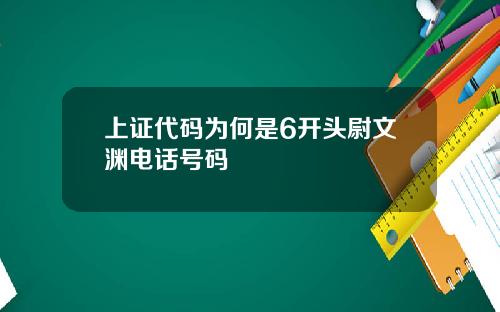 上证代码为何是6开头尉文渊电话号码