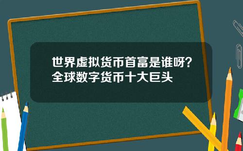 世界虚拟货币首富是谁呀？全球数字货币十大巨头