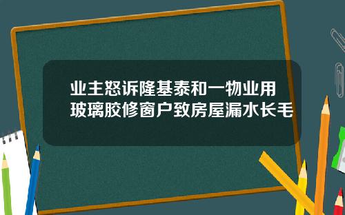 业主怒诉隆基泰和一物业用玻璃胶修窗户致房屋漏水长毛