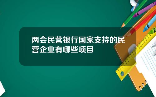 两会民营银行国家支持的民营企业有哪些项目