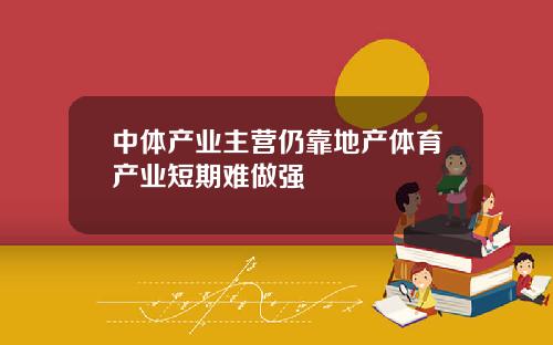 中体产业主营仍靠地产体育产业短期难做强