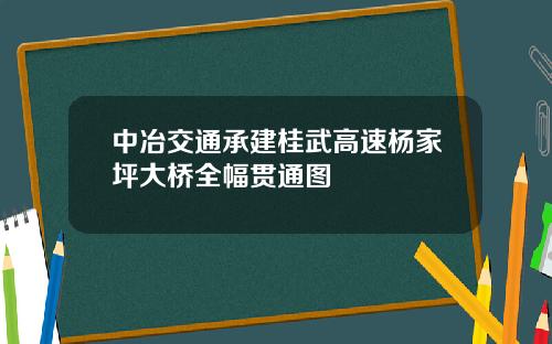 中冶交通承建桂武高速杨家坪大桥全幅贯通图