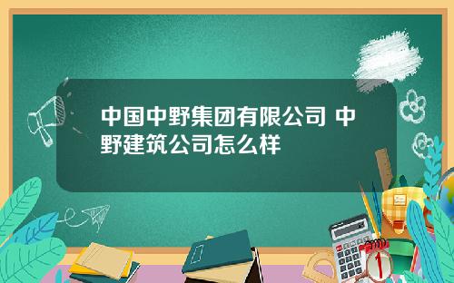 中国中野集团有限公司 中野建筑公司怎么样