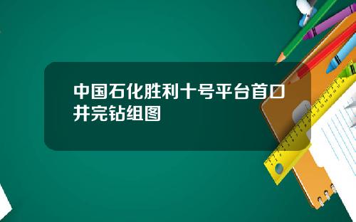 中国石化胜利十号平台首口井完钻组图