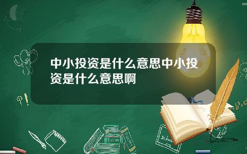 中小投资是什么意思中小投资是什么意思啊