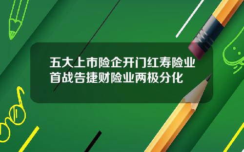 五大上市险企开门红寿险业首战告捷财险业两极分化