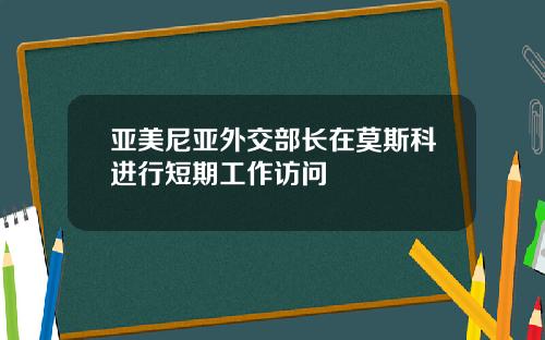 亚美尼亚外交部长在莫斯科进行短期工作访问