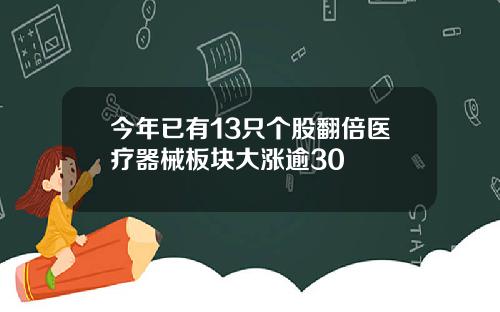 今年已有13只个股翻倍医疗器械板块大涨逾30