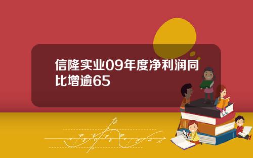 信隆实业09年度净利润同比增逾65