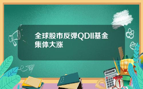 全球股市反弹QDII基金集体大涨