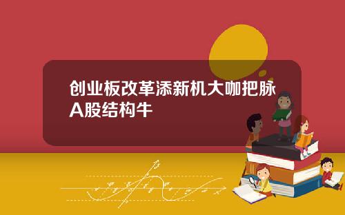 创业板改革添新机大咖把脉A股结构牛