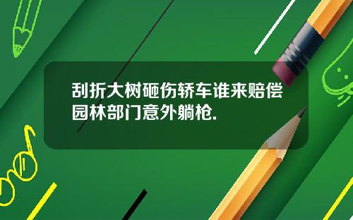 刮折大树砸伤轿车谁来赔偿园林部门意外躺枪.