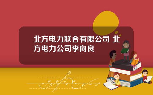 北方电力联合有限公司 北方电力公司李向良