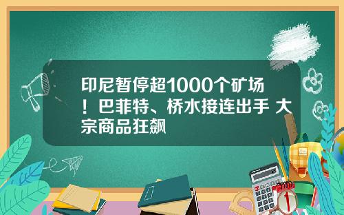 印尼暂停超1000个矿场！巴菲特、桥水接连出手 大宗商品狂飙