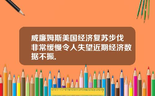 威廉姆斯美国经济复苏步伐非常缓慢令人失望近期经济数据不振.