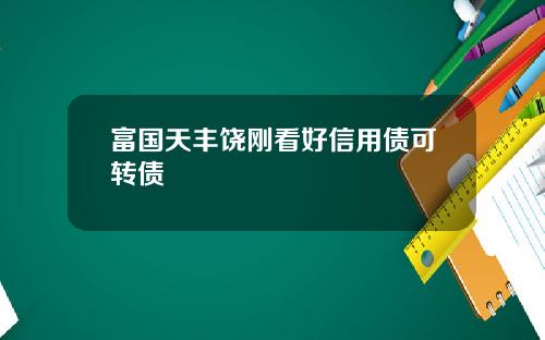 富国天丰饶刚看好信用债可转债