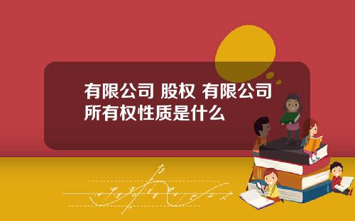 有限公司 股权 有限公司所有权性质是什么