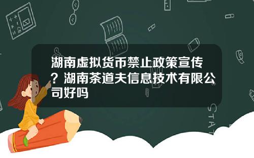 湖南虚拟货币禁止政策宣传？湖南茶道夫信息技术有限公司好吗