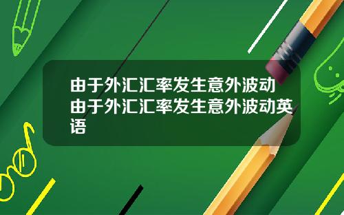 由于外汇汇率发生意外波动由于外汇汇率发生意外波动英语