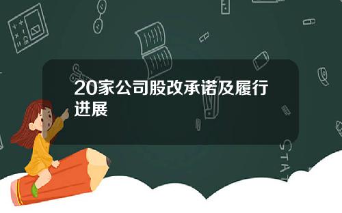 20家公司股改承诺及履行进展