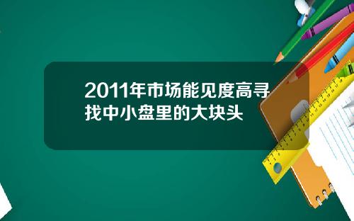 2011年市场能见度高寻找中小盘里的大块头