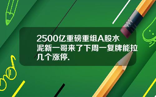 2500亿重磅重组A股水泥新一哥来了下周一复牌能拉几个涨停.