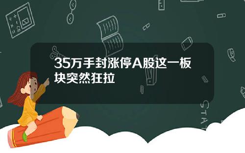 35万手封涨停A股这一板块突然狂拉