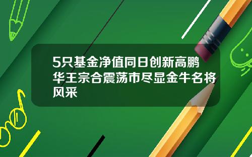 5只基金净值同日创新高鹏华王宗合震荡市尽显金牛名将风采