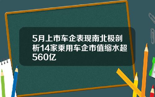 5月上市车企表现南北极剖析14家乘用车企市值缩水超560亿