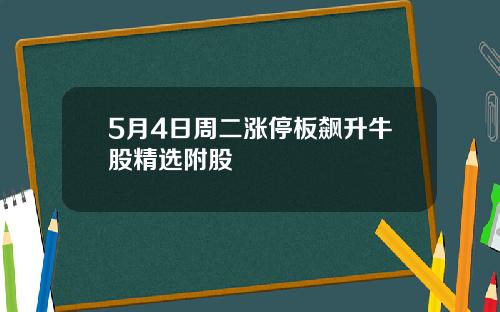 5月4日周二涨停板飙升牛股精选附股