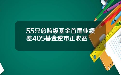 55只总监级基金首尾业绩差405基金逆市正收益