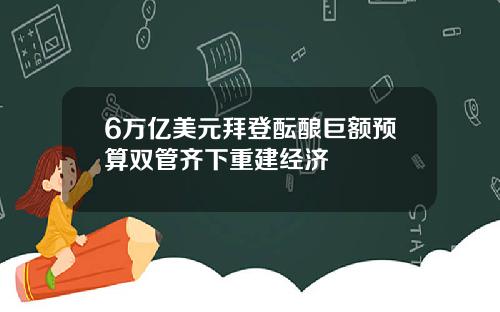 6万亿美元拜登酝酿巨额预算双管齐下重建经济