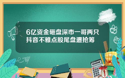 6亿资金砸盘深市一哥两只抖音不雅点股尾盘遭抢筹