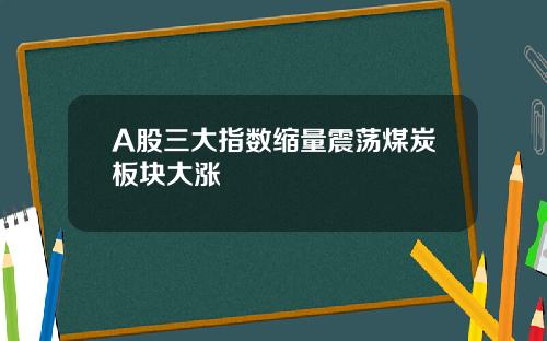 A股三大指数缩量震荡煤炭板块大涨