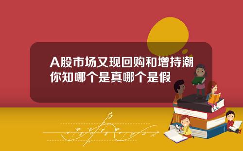 A股市场又现回购和增持潮你知哪个是真哪个是假