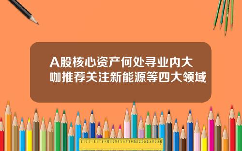 A股核心资产何处寻业内大咖推荐关注新能源等四大领域