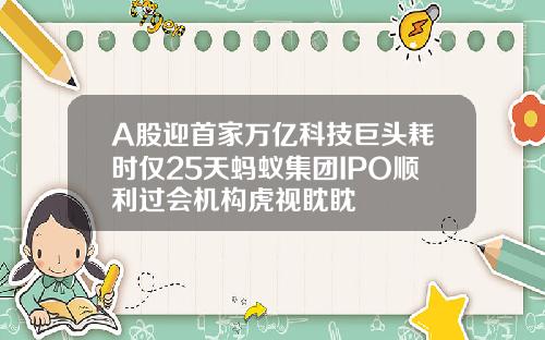 A股迎首家万亿科技巨头耗时仅25天蚂蚁集团IPO顺利过会机构虎视眈眈