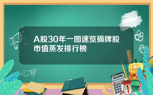 A股30年一图速览摘牌股市值蒸发排行榜